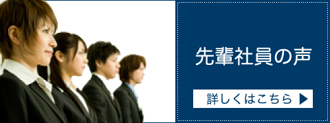 先輩社員の声